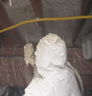  KY crawl space insulation